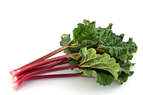Rhubarb from Peters Produce