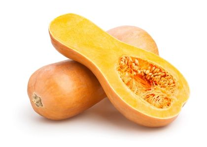 Squash from Peters Produce