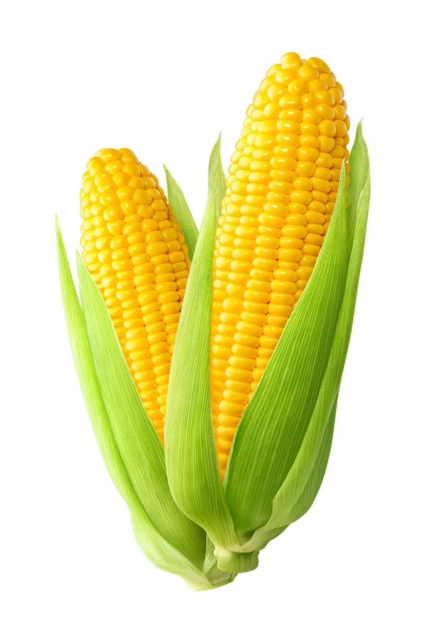 Sweetcorn from Peters Produce