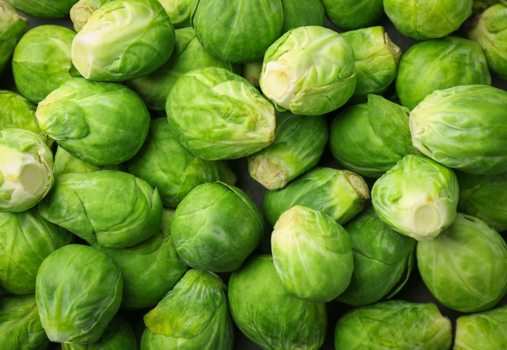 A pile of fresh green Brussels sprouts