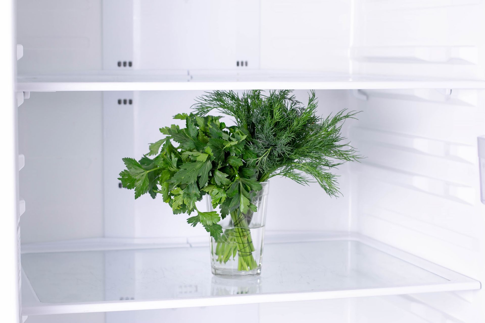 Fresh dill and parsley in a glass of water