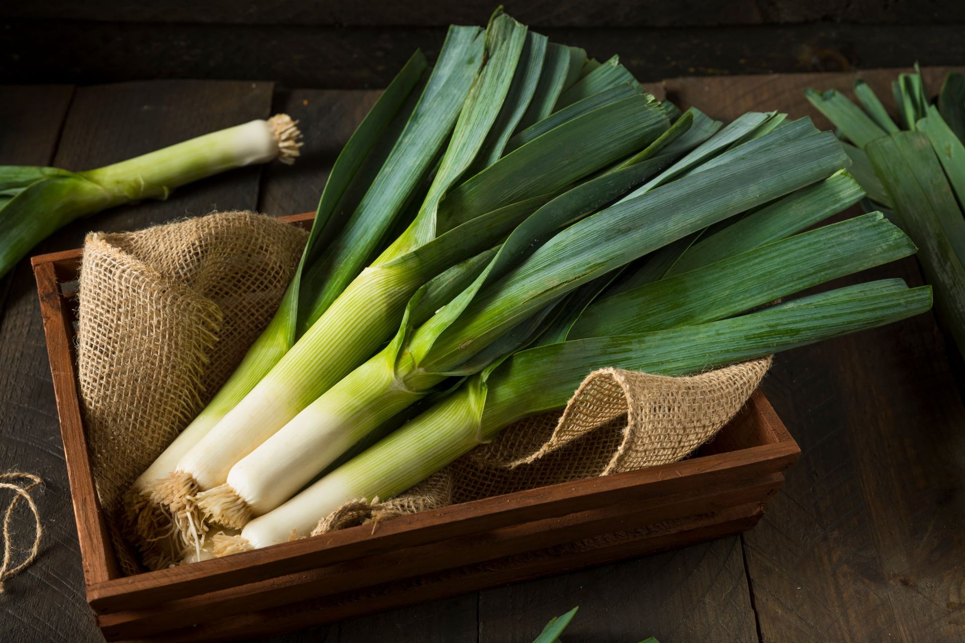 Fresh leeks in a wooden crate lined with burlap