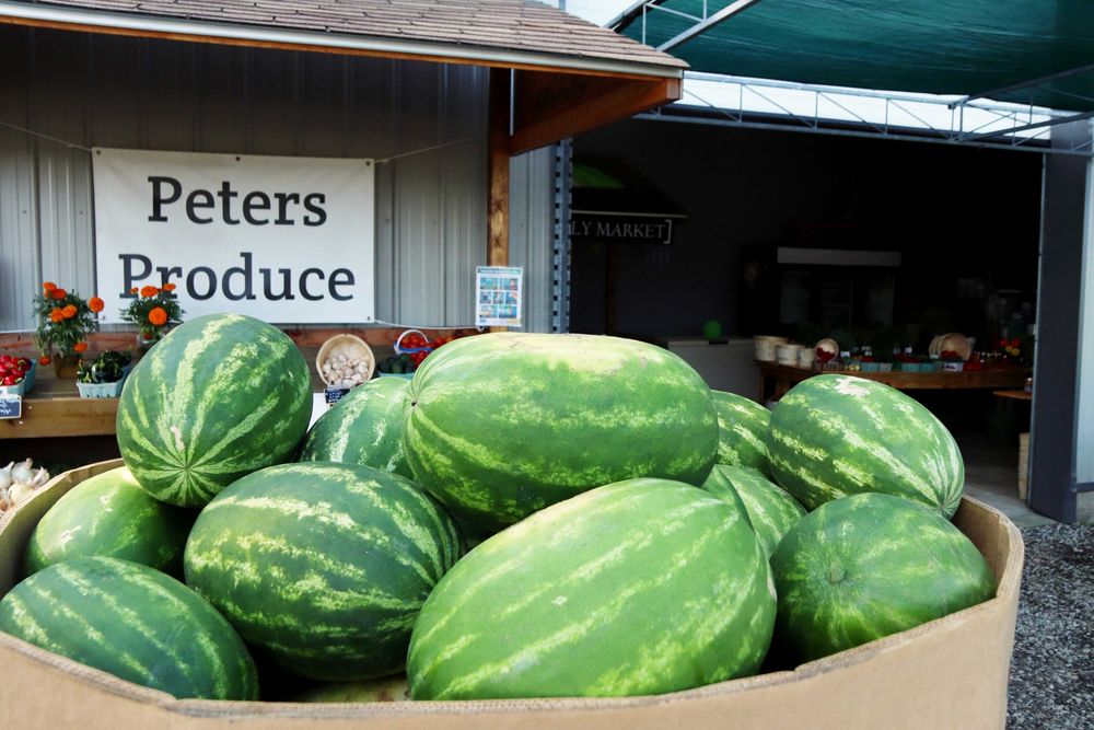 A bin of watermelons at the Peters Produce farm stand